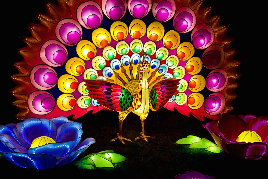 china light licht festival lichtshow show festiviteit glow evenement event chinees chinese verlichting draak dragon lichtfestival zoo